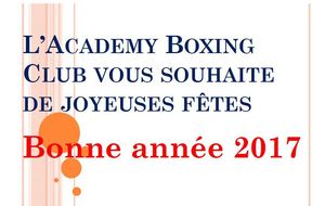 Joyeuses fêtes et bonne année