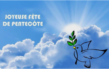 Pas d'entraînement le lundi 9 juin